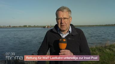 Kann "Timmy" gerettet werden?