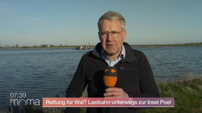 Kann "Timmy" gerettet werden?