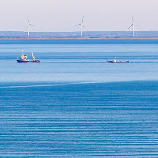 Buckelwal Timmy in der Nordsee freigelassen – Fragen zu Zeitpunkt und Transparenz bleiben — image 6