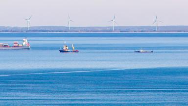 Buckelwal-Transport läuft: Was steht 