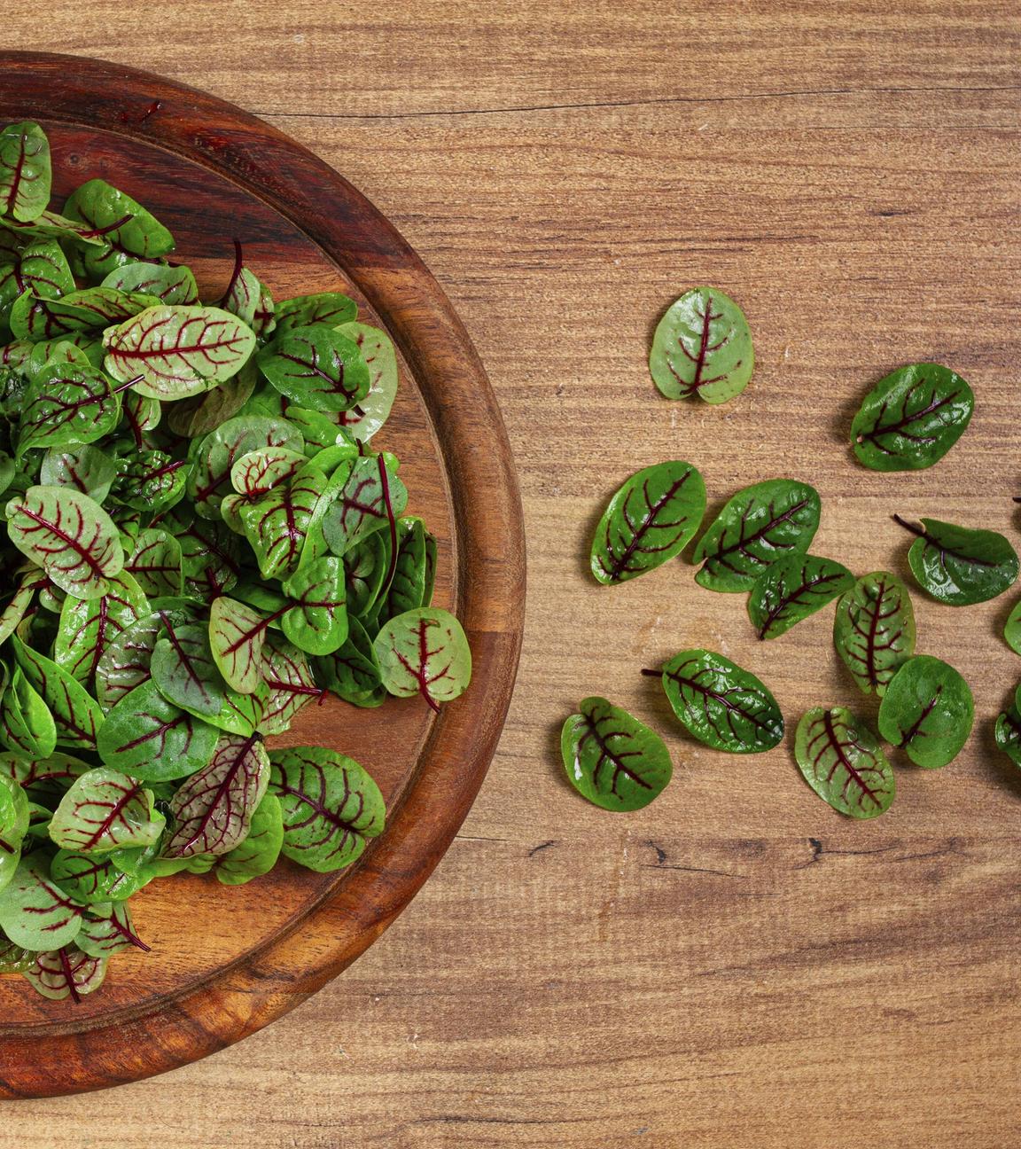 Rezepte mit Sauerampfer