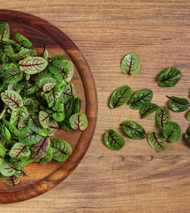 Rezepte mit Sauerampfer
