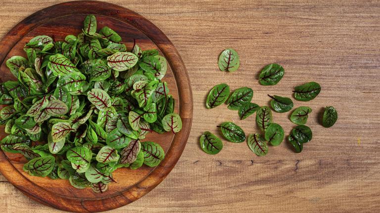 Rezepte mit Sauerampfer