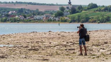 Das Niedrigwasser im Rhein wird für Binnenschiffer zu einem ernsthaften Problem.