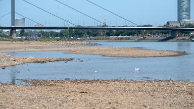 NRW: Der Rhein auf der Höhe der Düsseldorfer Altstadt führt extremes Niedrigwasser
