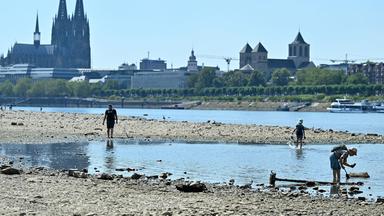 Menschen gehen im teilweise ausgetrockneten Flussbett des Rheins bei Köln spazieren.
