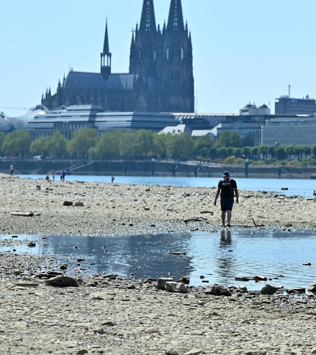 Menschen gehen im teilweise ausgetrockneten Flussbett des Rheins bei Köln spazieren.