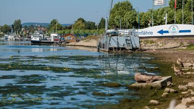 Niedriger Wasserstand des Rheins