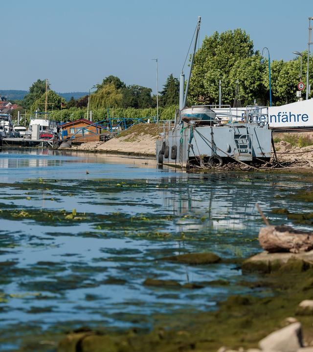 Niedriger Wasserstand des Rheins