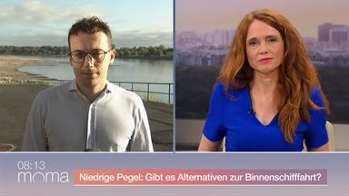 rhein-niedrigwasser-preistreibend-unternehmen-