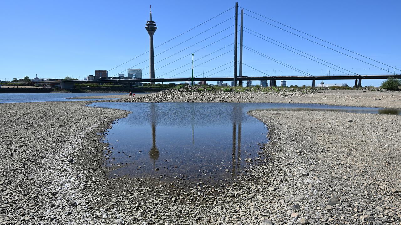 Low water levels slow down freight traffic on the Rhine: Can rail and ...