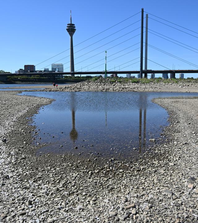 Der Rheinturm in Düsseldorf spiegelt sich bei niedrigem Wasserstand auf dem Rhein in einer Lache.