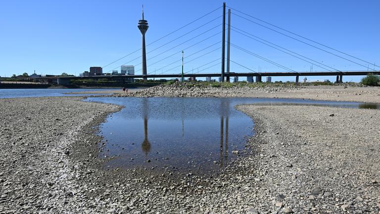 Der Rheinturm in Düsseldorf spiegelt sich bei niedrigem Wasserstand auf dem Rhein in einer Lache.