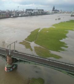 Überflutete Wiese aus der Vogelperspektive