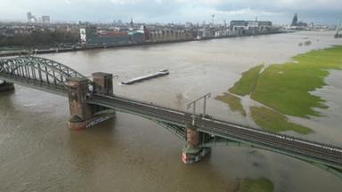 Rhein bei Köln: Wege und Wiesen überflutet