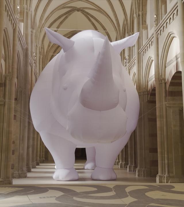 Rhinozerus in der Kirche in Sachsen-Anhalt