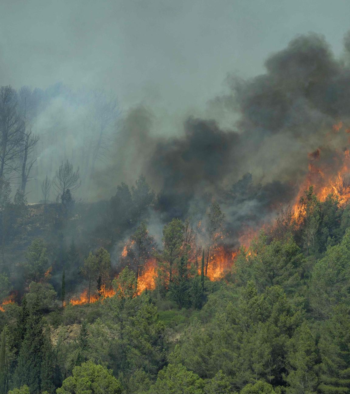 In Südfrankreich breitet sich ein Waldbrand aus.