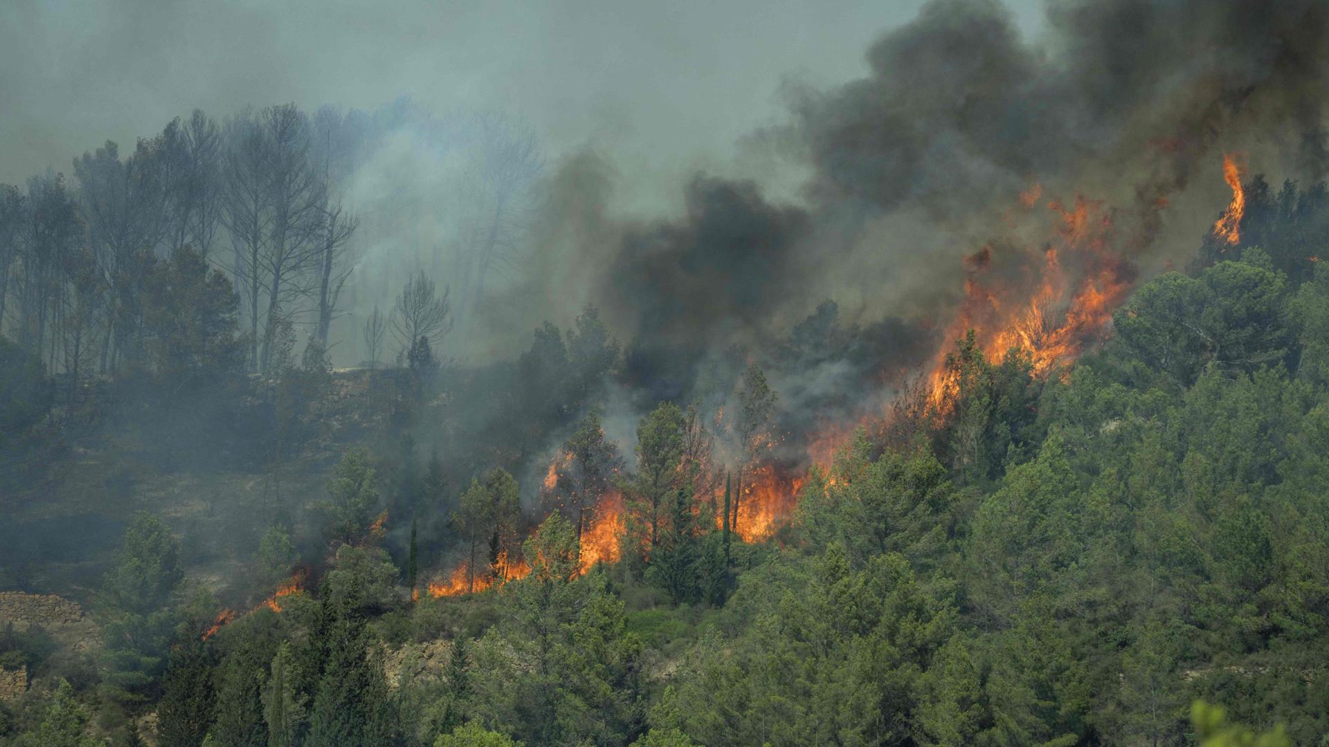 In Südfrankreich breitet sich ein Waldbrand aus.