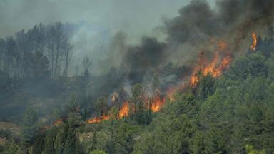In Südfrankreich breitet sich ein Waldbrand aus.