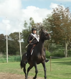 ringreiten-sylt