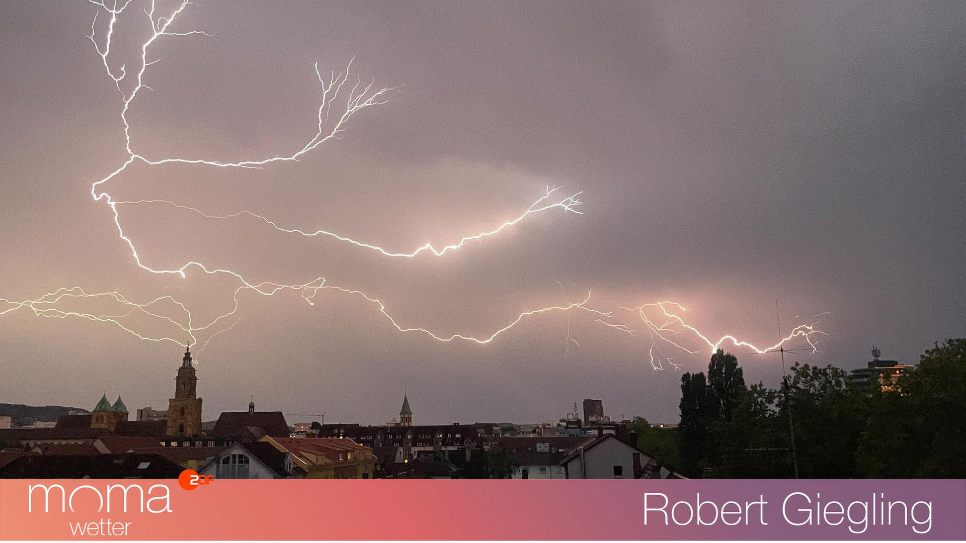 Gewinnerfoto vom 14. Juli 2023