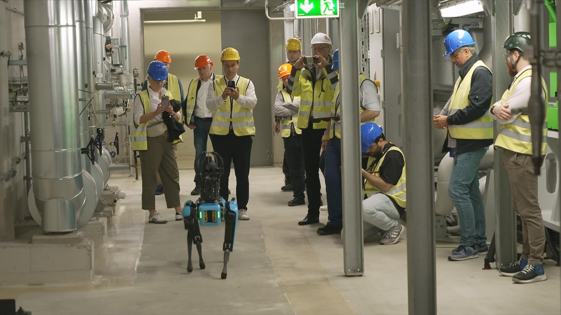Robodog