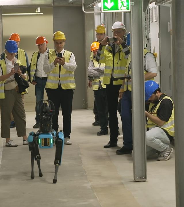 Robodog