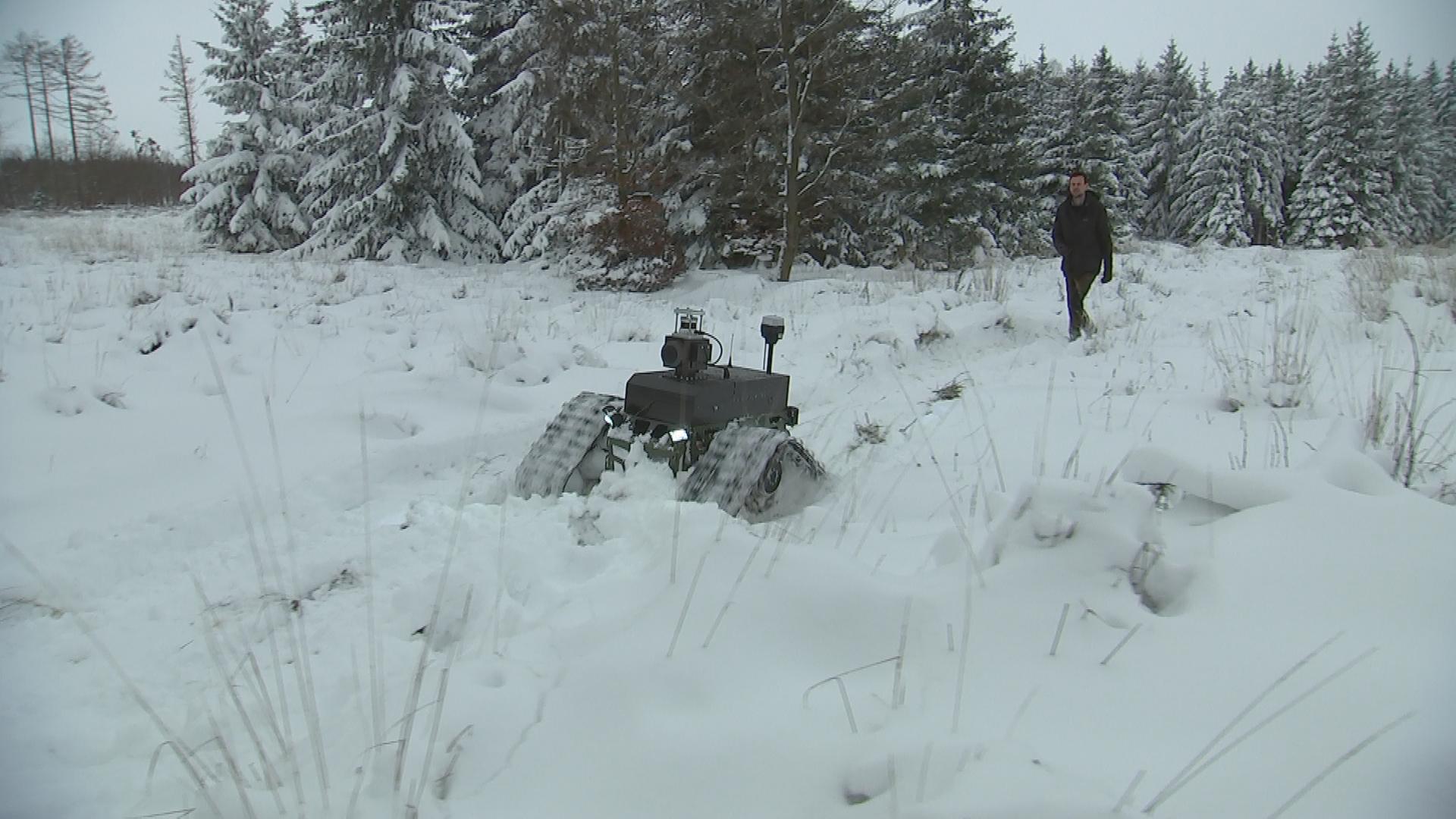 Roboter im Wald