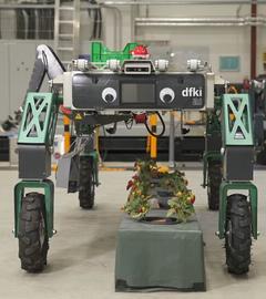 Auf dem Bild ist ein kleiner Roboter zu sehen, der auf vier Rollen fährt.