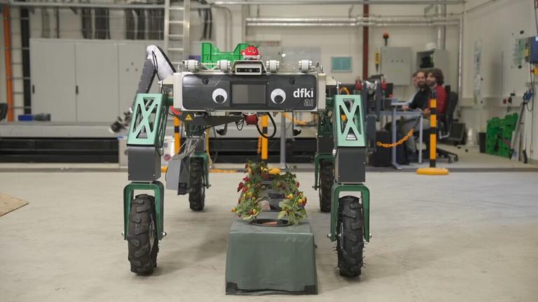 Auf dem Bild ist ein kleiner Roboter zu sehen, der auf vier Rollen fährt.