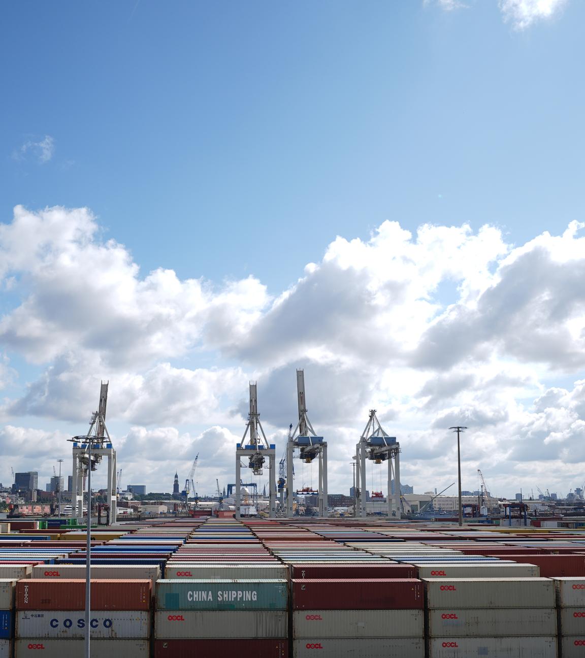 Hamburg: Unzählige Container stehen auf dem Container Terminal Tollerort im Hamburger Hafen