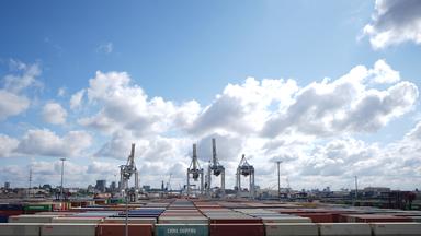 Hamburg: Unzählige Container stehen auf dem Container Terminal Tollerort im Hamburger Hafen