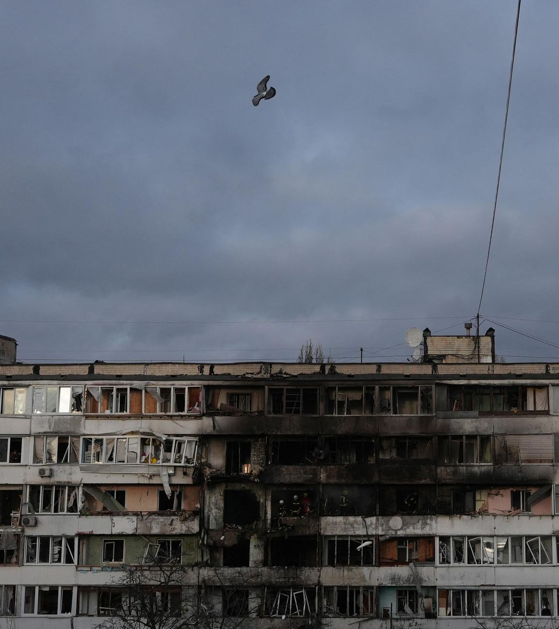This photograph shows a pigeon flying past a heavily damaged residential building following Russian missiles and drones strikes in Kyiv