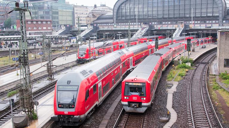 Züge der Regionalbahn und der S-Bahn stehen und fahren im Hauptbahnhof Hamburg