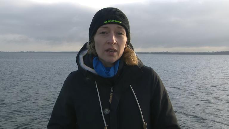 Franziska Saalmann | Expertin für Meeresschutz Greenpeace