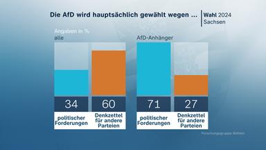 Sachsen: Die AfD wird gewählt hauptsächlich wegen ..., Grafik