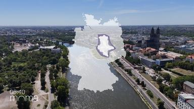 Sachsen-Anhalt vor der Landtagswahl