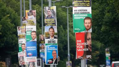 Sachsen Landtagswahlen Plakate