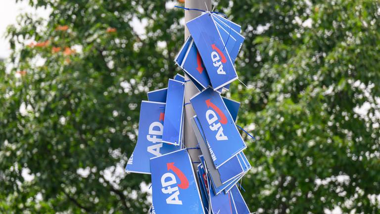  Wahlplakate der AfD hängen in der Innenstadt von Dresden an einem Lichtmast.