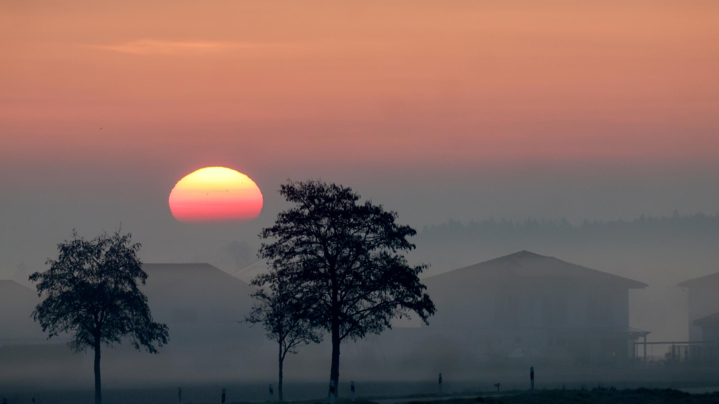 Saharastaub - trübe Sonne am grauen Himmel