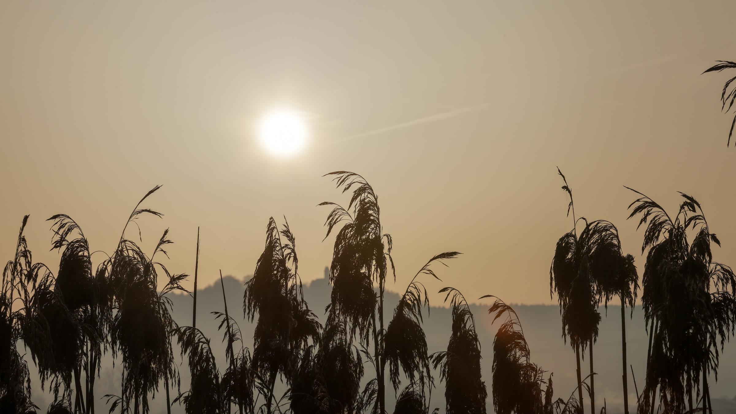 Saharastaub - trübe Sonne am grauen Himmel