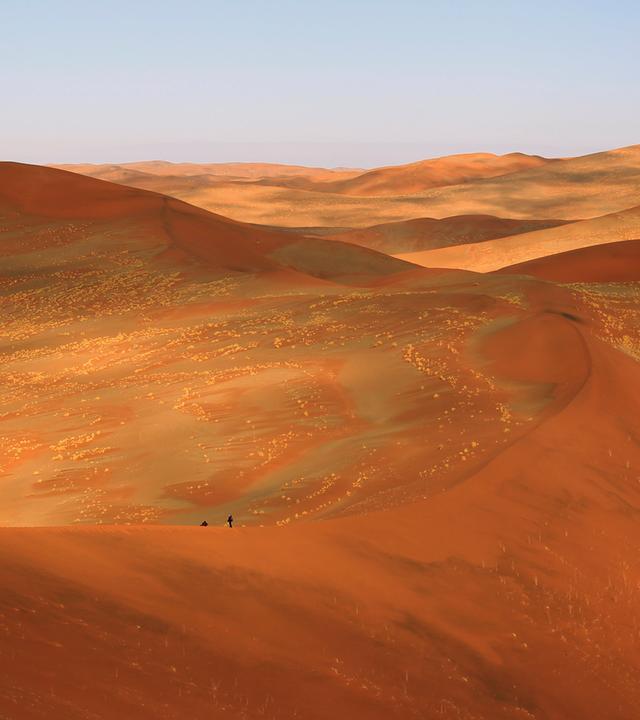Dünen in Sossusvlei im Süden Namibias