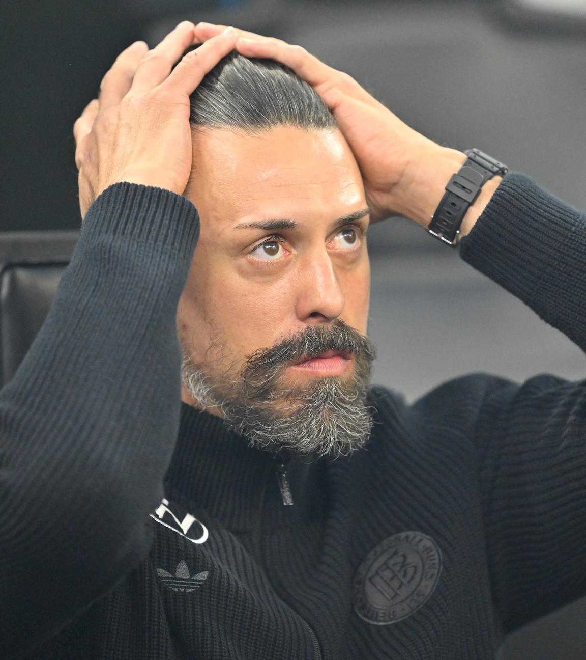 Sandro Wagner