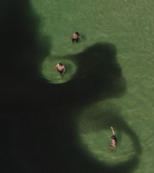 Millionen Sardellen bilden vor der Copacabana riesige Schwärme und Unterwasserbilder. 