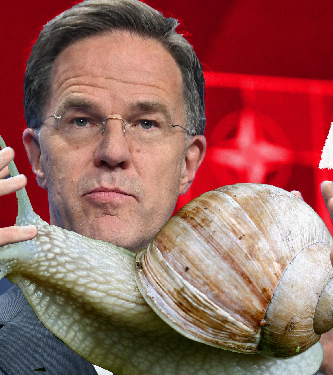 Bildmontage: Martin Rutte hält eine Schnecke in den Händen