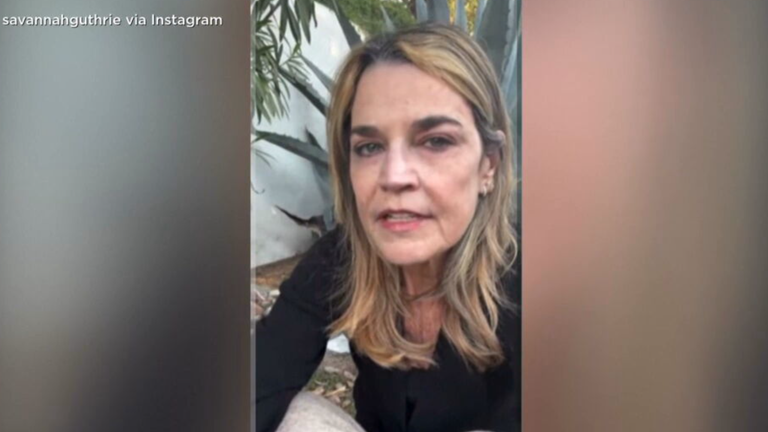 Savannah Guthrie spricht in die Kamera ihres Handys.