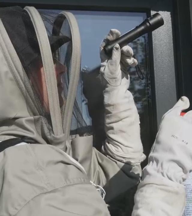 Schädlingsbekämpferin Anna Gustedt im Schutzanzug bei der Arbeit