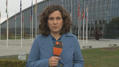 Isabelle Schäfers