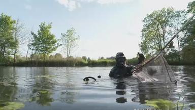 Taucher Patrick Döbbel im Wasser