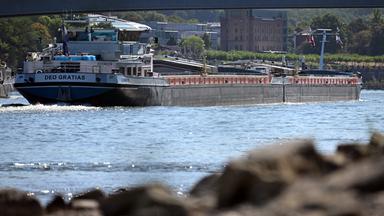 Ein Frachtschiff fährt bei niedrigem Wasserstand auf dem Rhein.